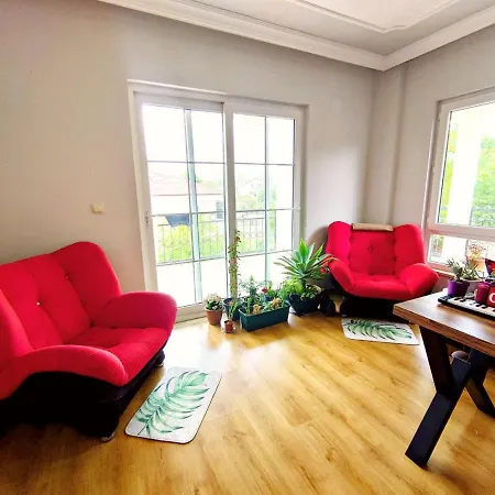 Dfc Homestay