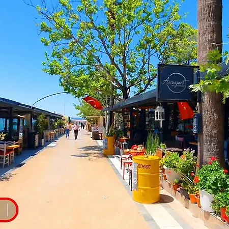 Dfc * Koycegiz (Mugla)